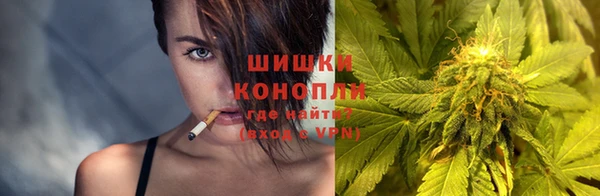 PSILOCYBIN Остров
