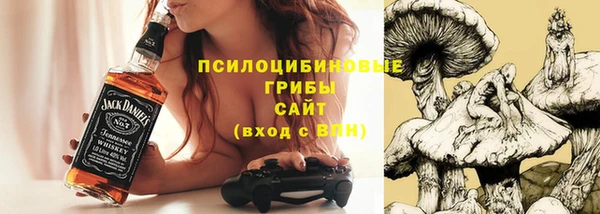 PSILOCYBIN Остров