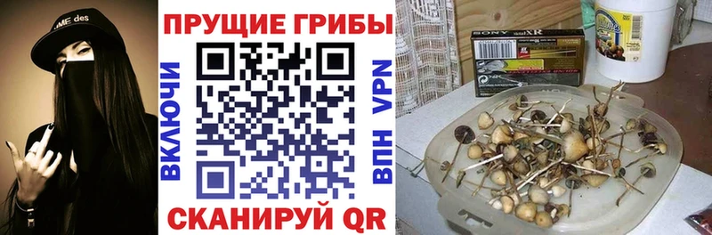 Псилоцибиновые грибы Psilocybine cubensis  Прохладный 
