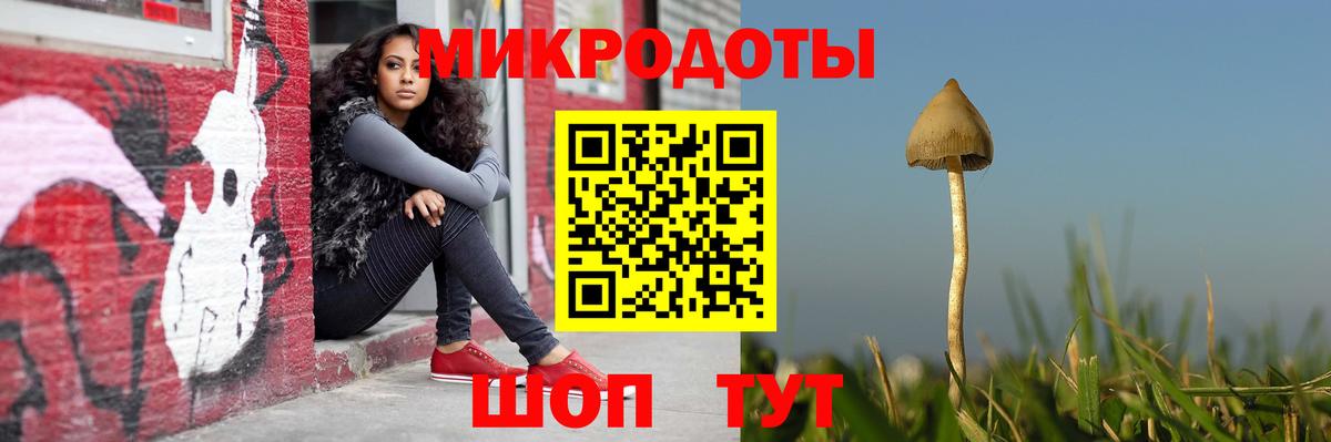 Псилоцибиновые грибы ЛСД Прохладный