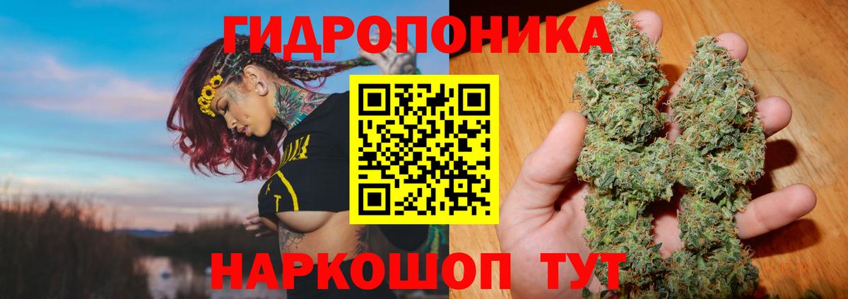 Марихуана ГИДРОПОН  Марихуана AK-47  Прохладный  Вход с VPN 
